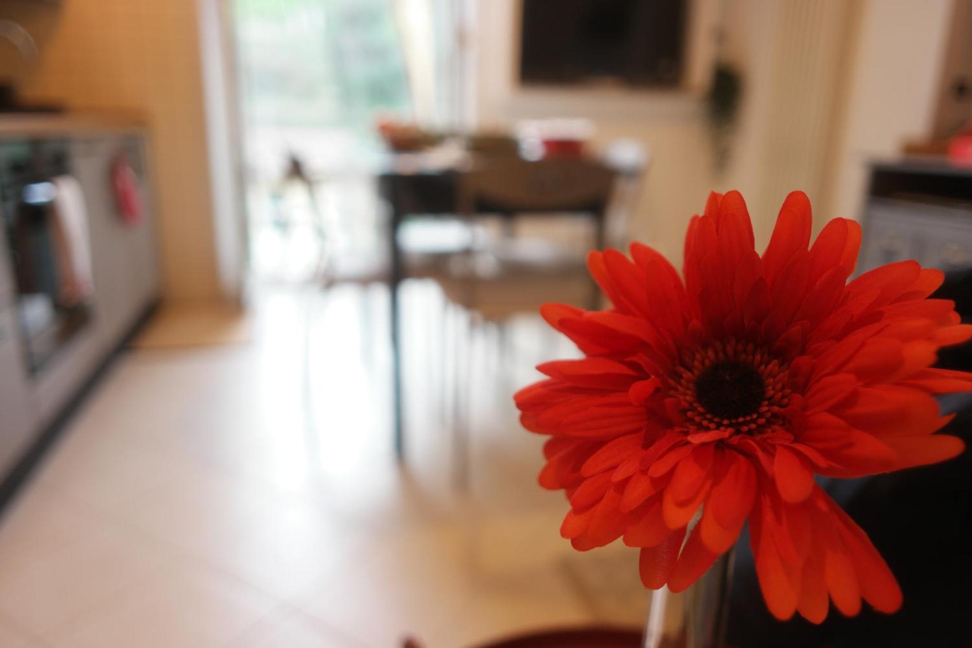 Il Nido Di Mariro Apartman La Spezia Kültér fotó